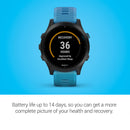 Garmin Forerunner 945 Bundle, Premium GPS Running/Triathlon Smartwatch with Music - Blue
